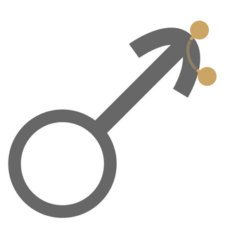 Penis Piercing