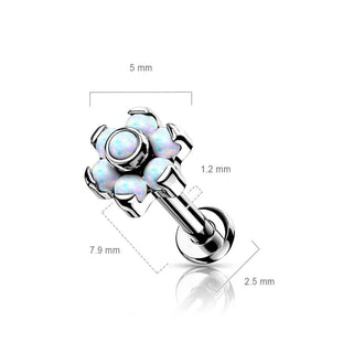 Titan Labret Blume Opal Silber Push-In