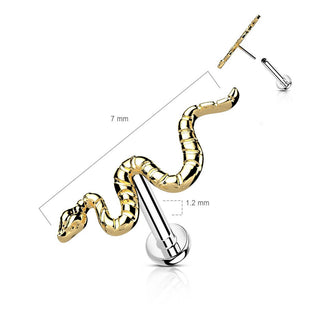 Titan Labret Schlange  Push-In