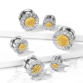 Plug Sonnenblume