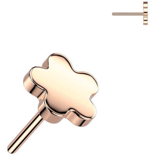 Titan Blume Aufsatz Push-In