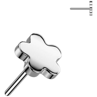 Titan Blume Aufsatz Push-In