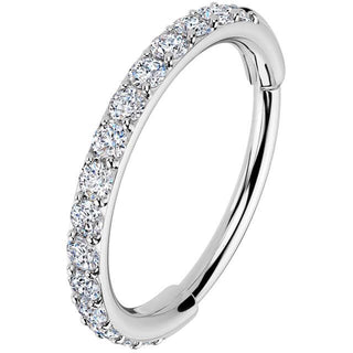 Ring Zirkonia Segment