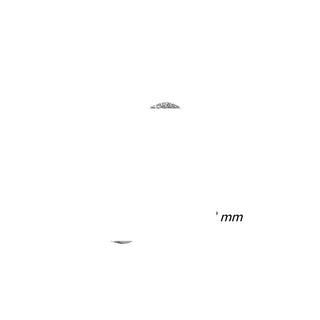 Titan Ring Zirkonia Clicker