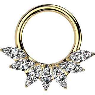 Titan Ring 7 Zirkonia Marquise Schliff Segment