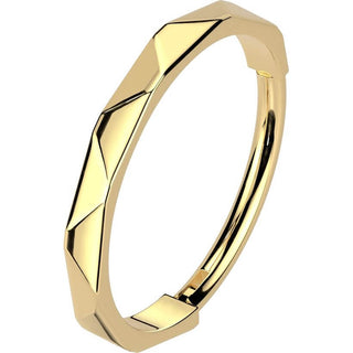 Titan Ring Facetten Seite Segment