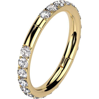 Titan Ring Zirkonia Segment