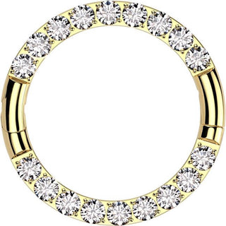 Titan Ring Zirkonia Segment