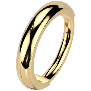 Titan Ring 2mm breite Kuppeloberfläche Segment