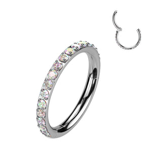 Titan Ring Zirkonia Segment