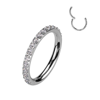 Titan Ring Zirkonia Segment