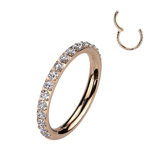 Titan Ring Zirkonia Segment