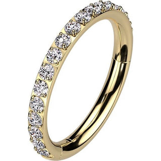 Titan Ring Zirkonia Segment