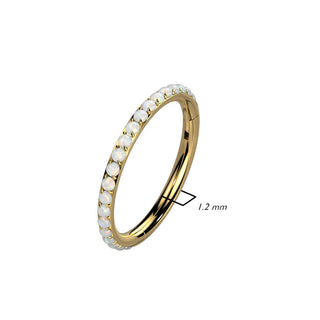 Titan Ring Zirkonia Clicker