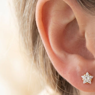 Star Ear Piercings – selection on linen