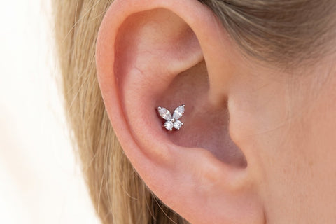 Conch Piercing Schmetterling