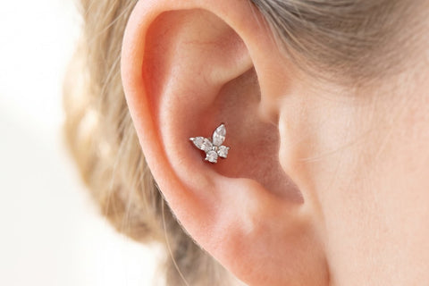 Schmetterling Piercing