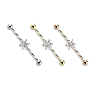 Industrial Barbell Blume Zirkonia