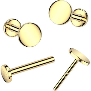 14 Karat Gold Labret rund flach Nasenpiercing Push-In