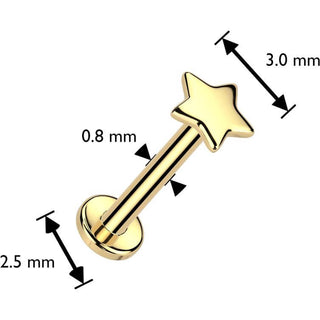 14 Karat Gold Labret Stern flach Nasenpiercing Push-In