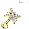 Titanium Earring cubic zirconia pave starburst Push-In