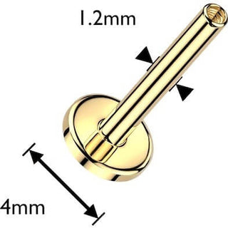 Titanium Labret Gold PVD 4mm Base Internally Threaded