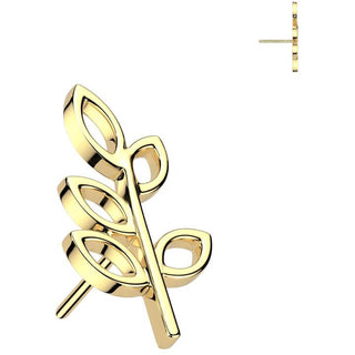 Solid Gold 14 Carat top Olive Leaf Push-In