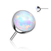 Titanium Top Top Opal Ball Push-In