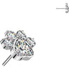 Titanium Top top paw zirconia Push-In