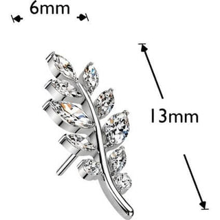 Titanium top olive leaf zirconia Push-In