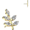Titanium top leaf zirconia Push-In