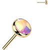 Titanium Top top iridescent stone Push-In