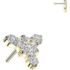 Titanium top round zirconia with 3 small zirconias Push-In