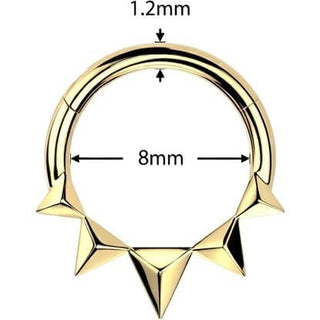 Ring pyramids Segment