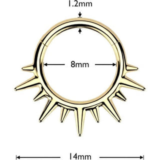 Ring spikes Segment