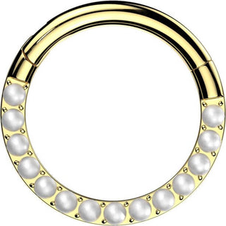 Titanium Ring pearls Segment