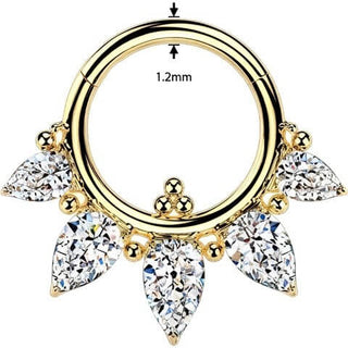 Titanium Ring 5 zirconias balls Segment