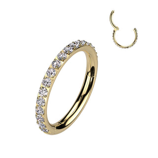 Titanium Ring Zirconia Segment