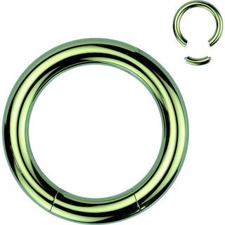 Ring Colour Segment