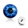 Dermal Anchor top dermal anchor eyeball Internally Threaded