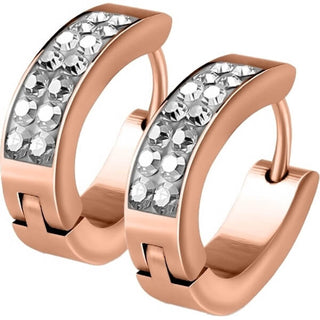 Earring 316L Lined Set Crystals Front Oval Shape Hoop Huggie Earrings 1 Pair Clicker