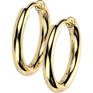 Titanium Earring plain Clicker