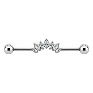 Titanium Industrial Barbell Marquise Crystal Fan Internally Threaded