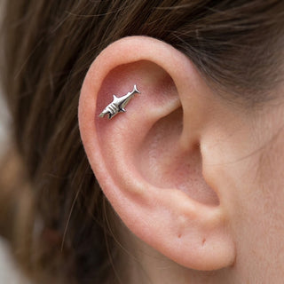 Titanium Labret Shark Internally Threaded