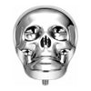 Titanium Top Anatomical Human Skull Internally Threaded
