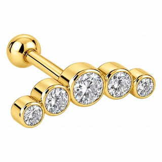 Titanium Barbell Five Stone Curved Arc