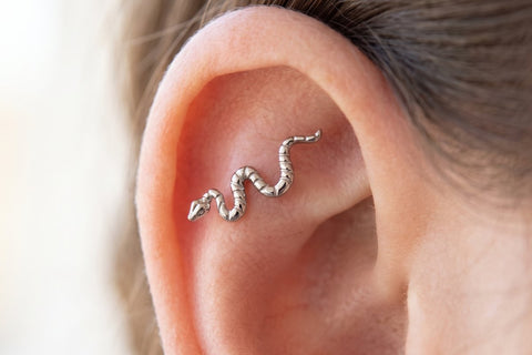 Schlangen Piercing