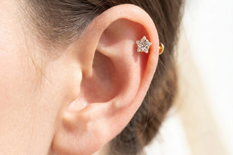 Helix Piercing Stern